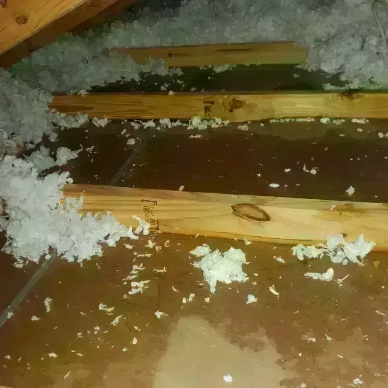 Attic Water Damage in Torrance, CA