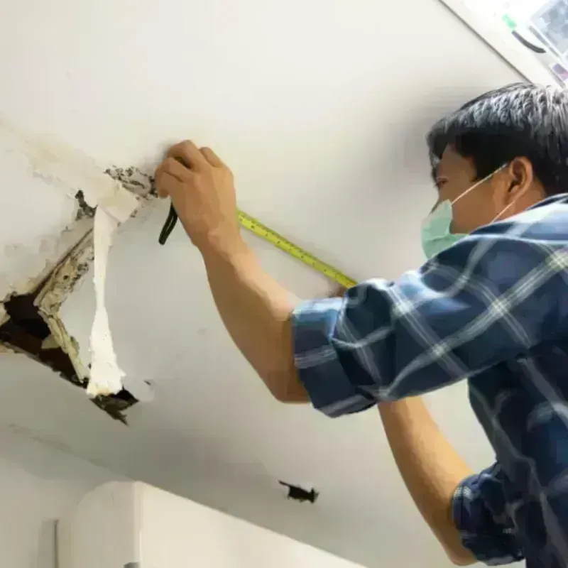 Ceiling And Wall Water Damage in Torrance, CA