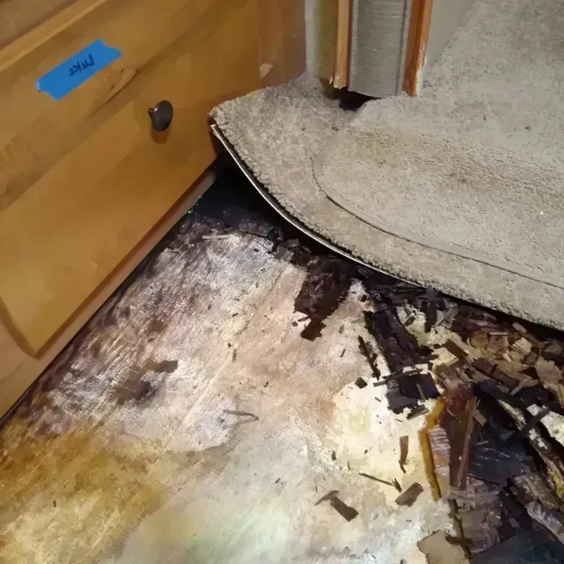 Wood Floor Water Damage in Torrance, CA